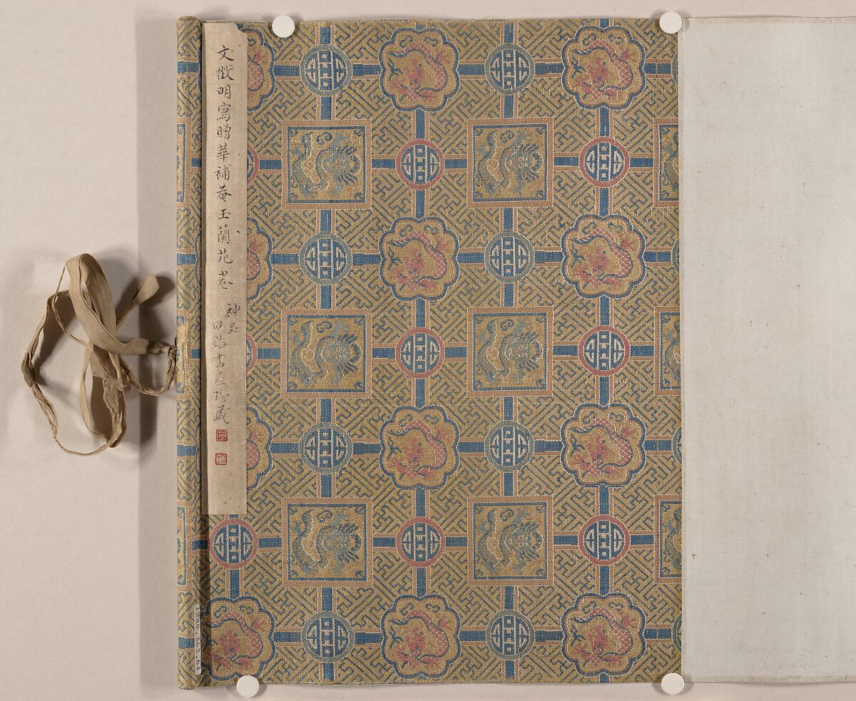 Magnolia, Unidentified artist, Handscroll; color on paper, China