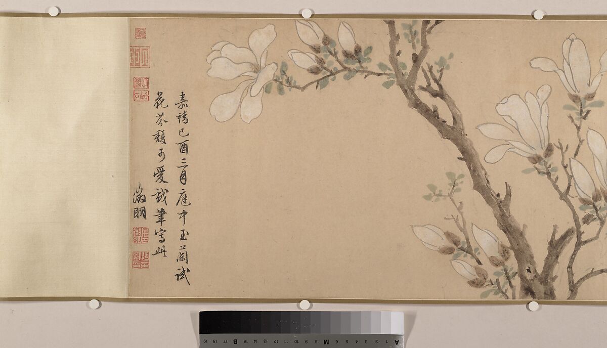 Magnolia, Unidentified artist, Handscroll; color on paper, China