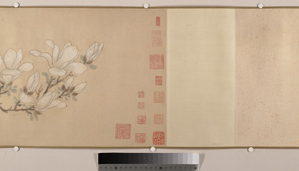 Magnolia, Unidentified artist, Handscroll; color on paper, China