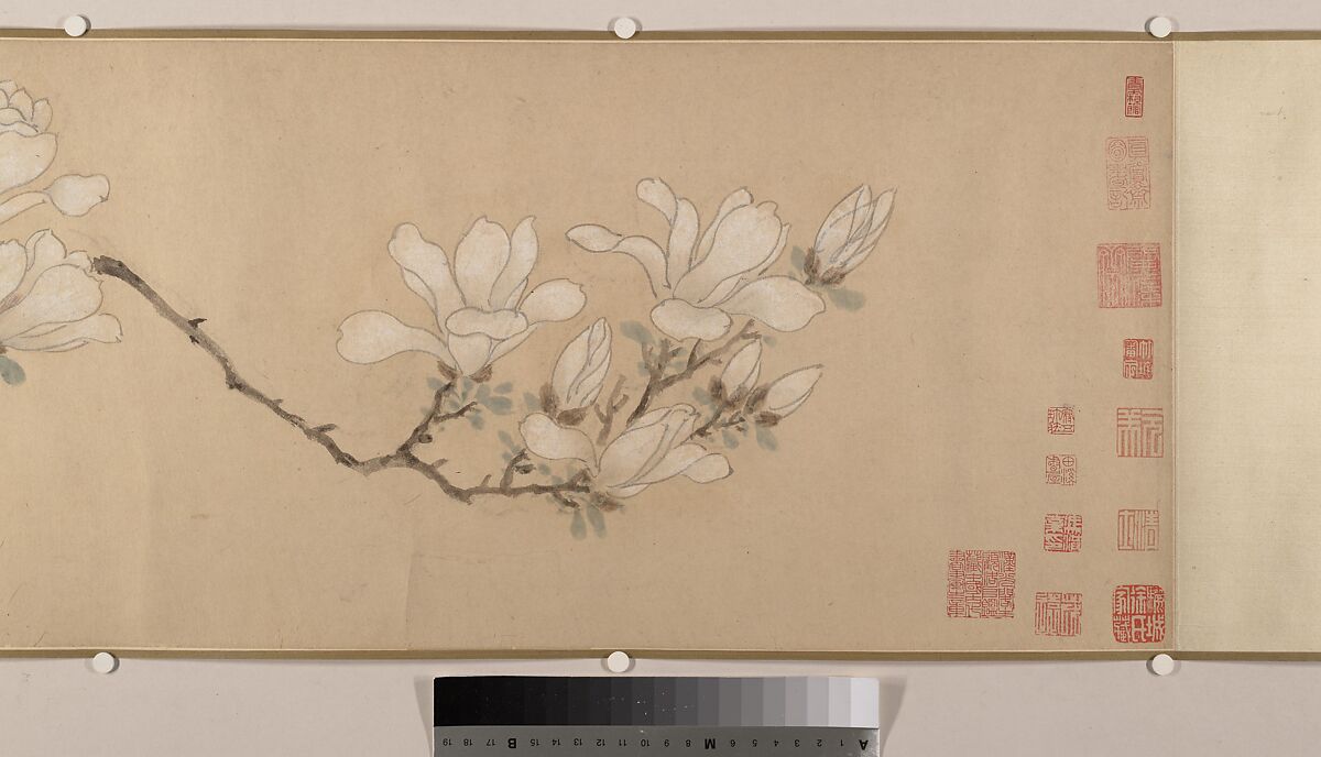 Magnolia, Unidentified artist, Handscroll; color on paper, China