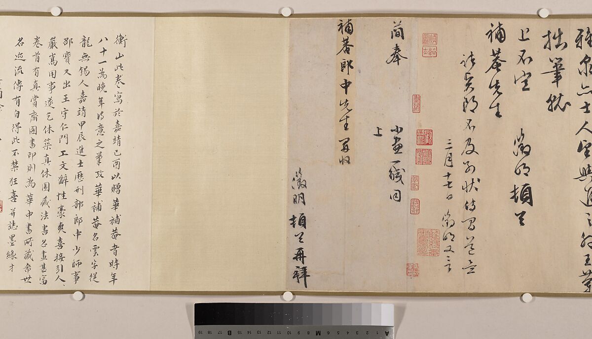 Magnolia, Unidentified artist, Handscroll; color on paper, China