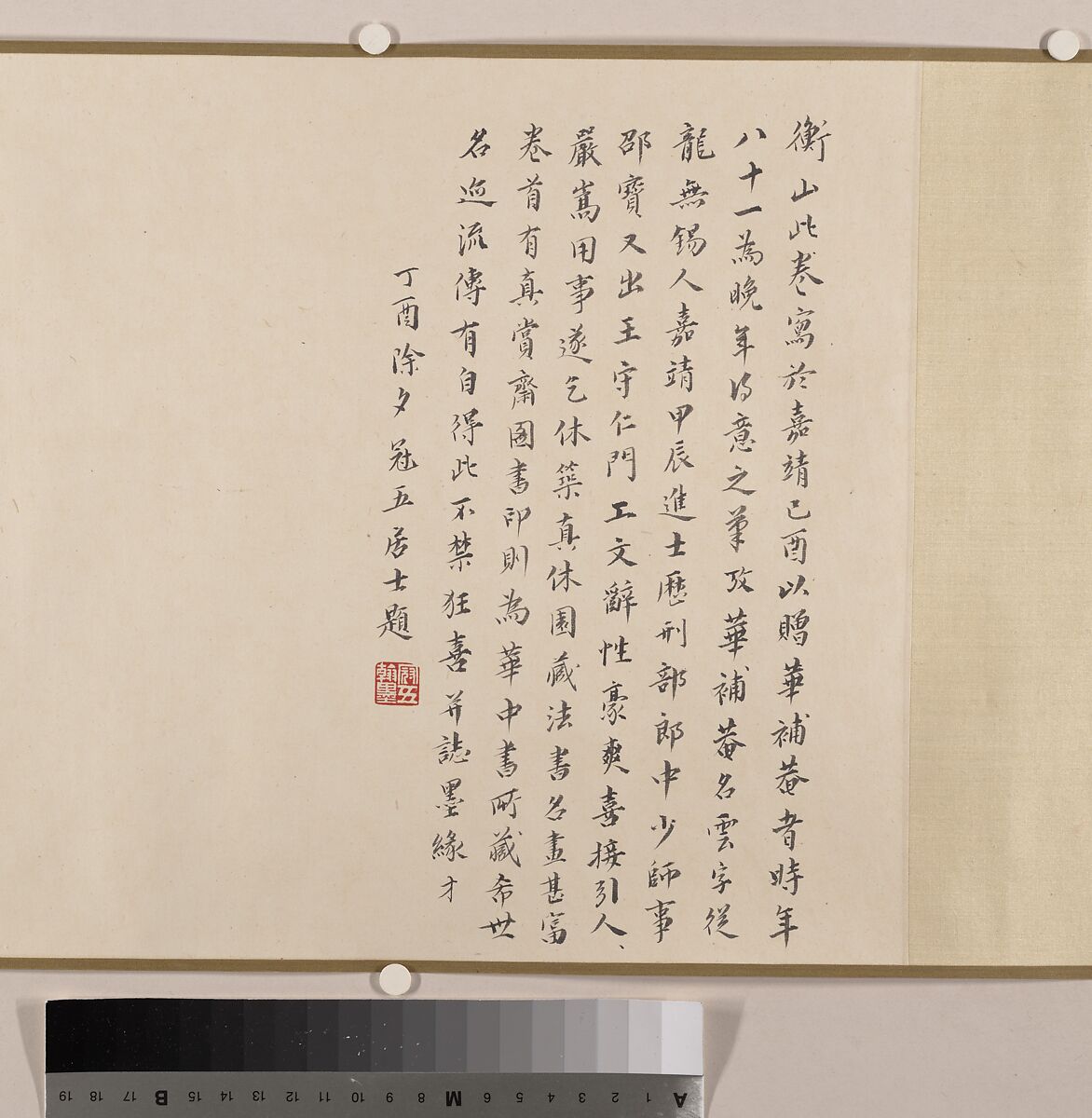 Magnolia, Unidentified artist, Handscroll; color on paper, China