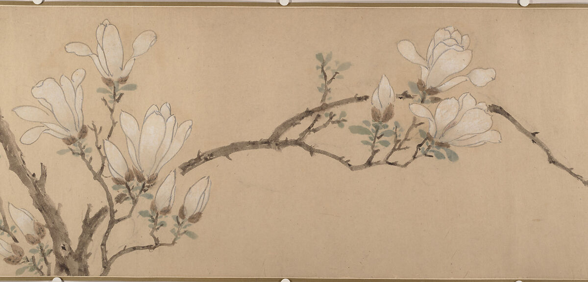 Magnolia, Unidentified artist, Handscroll; color on paper, China 