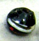 String of Beads, Glass