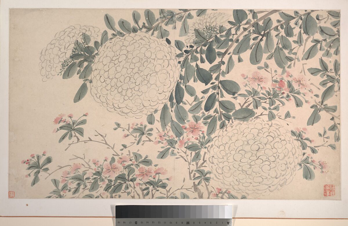 Garden Flowers, After Chen Chun (Chinese, 1483–1544), Album of sixteen paintings and one leaf of calligraphy; ink and color on paper, China
