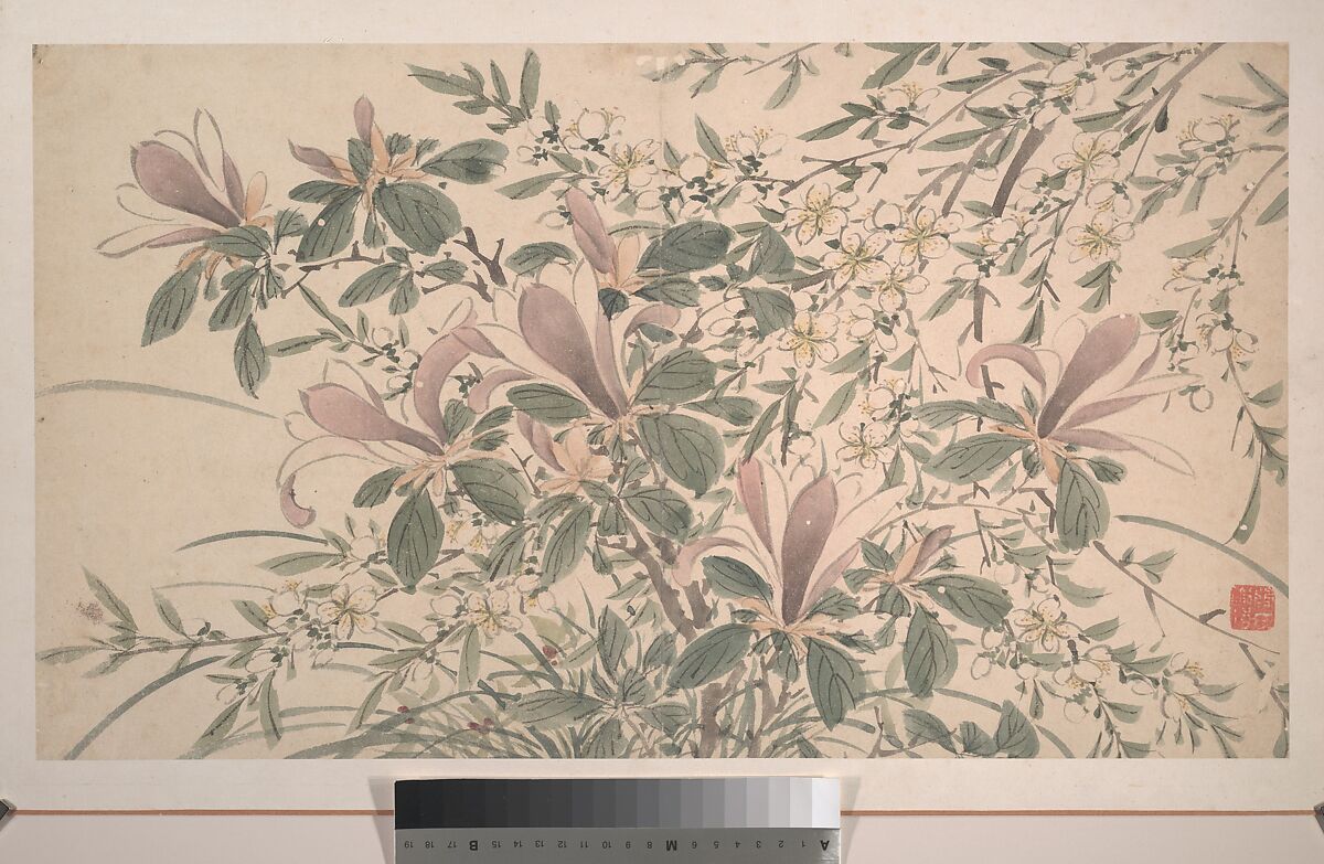 Garden Flowers, After Chen Chun (Chinese, 1483–1544), Album of sixteen paintings and one leaf of calligraphy; ink and color on paper, China