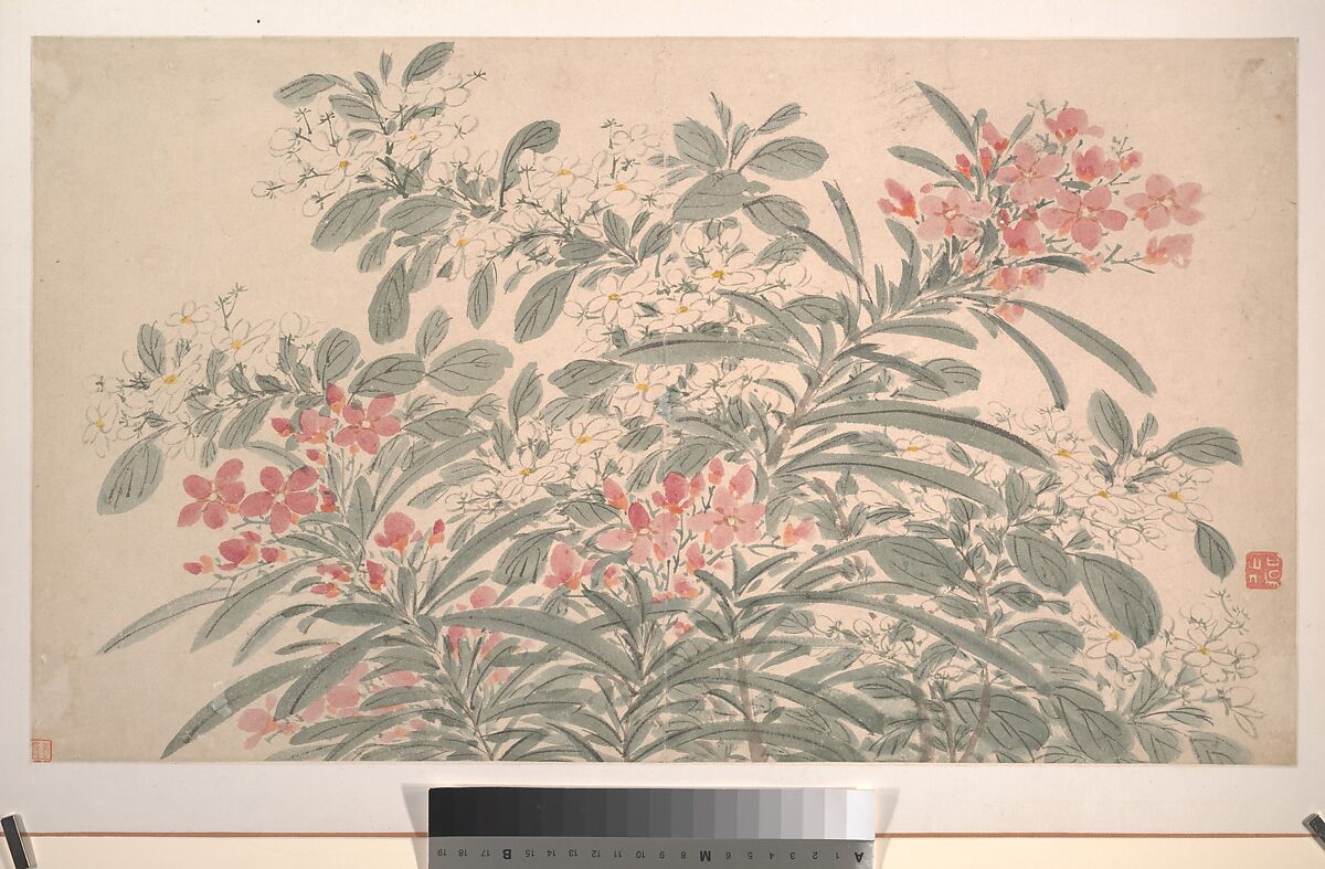 Garden Flowers, After Chen Chun (Chinese, 1483–1544), Album of sixteen paintings and one leaf of calligraphy; ink and color on paper, China