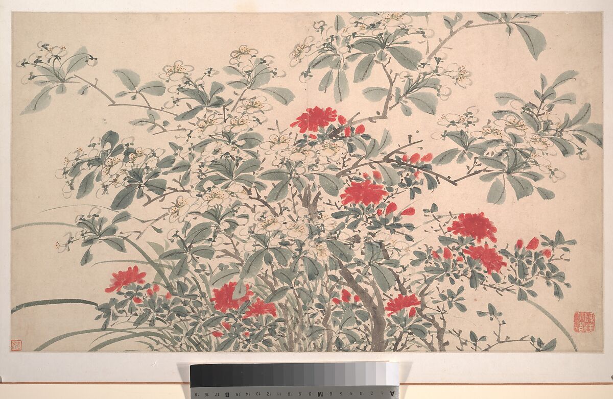 Garden Flowers, After Chen Chun (Chinese, 1483–1544), Album of sixteen paintings and one leaf of calligraphy; ink and color on paper, China