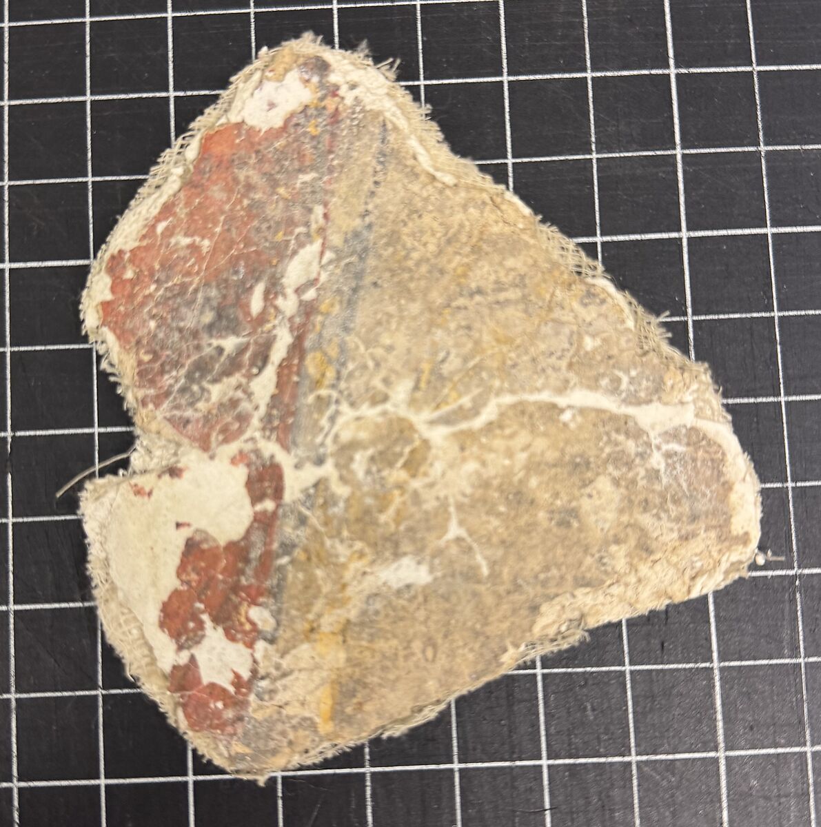 Stucco Fragment, Stucco