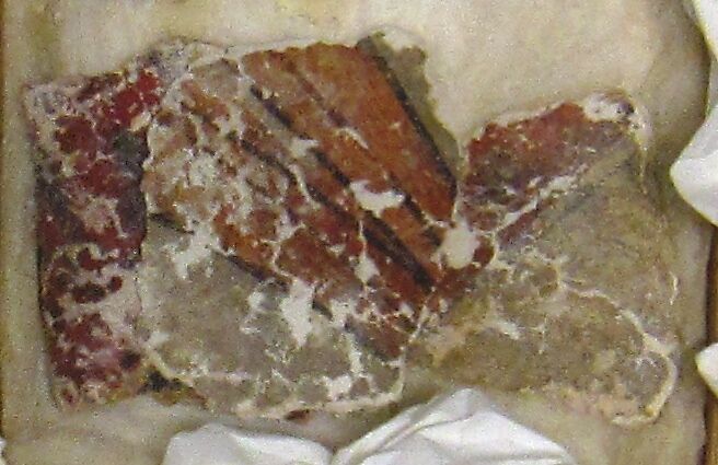 Stucco Fragment, Stucco