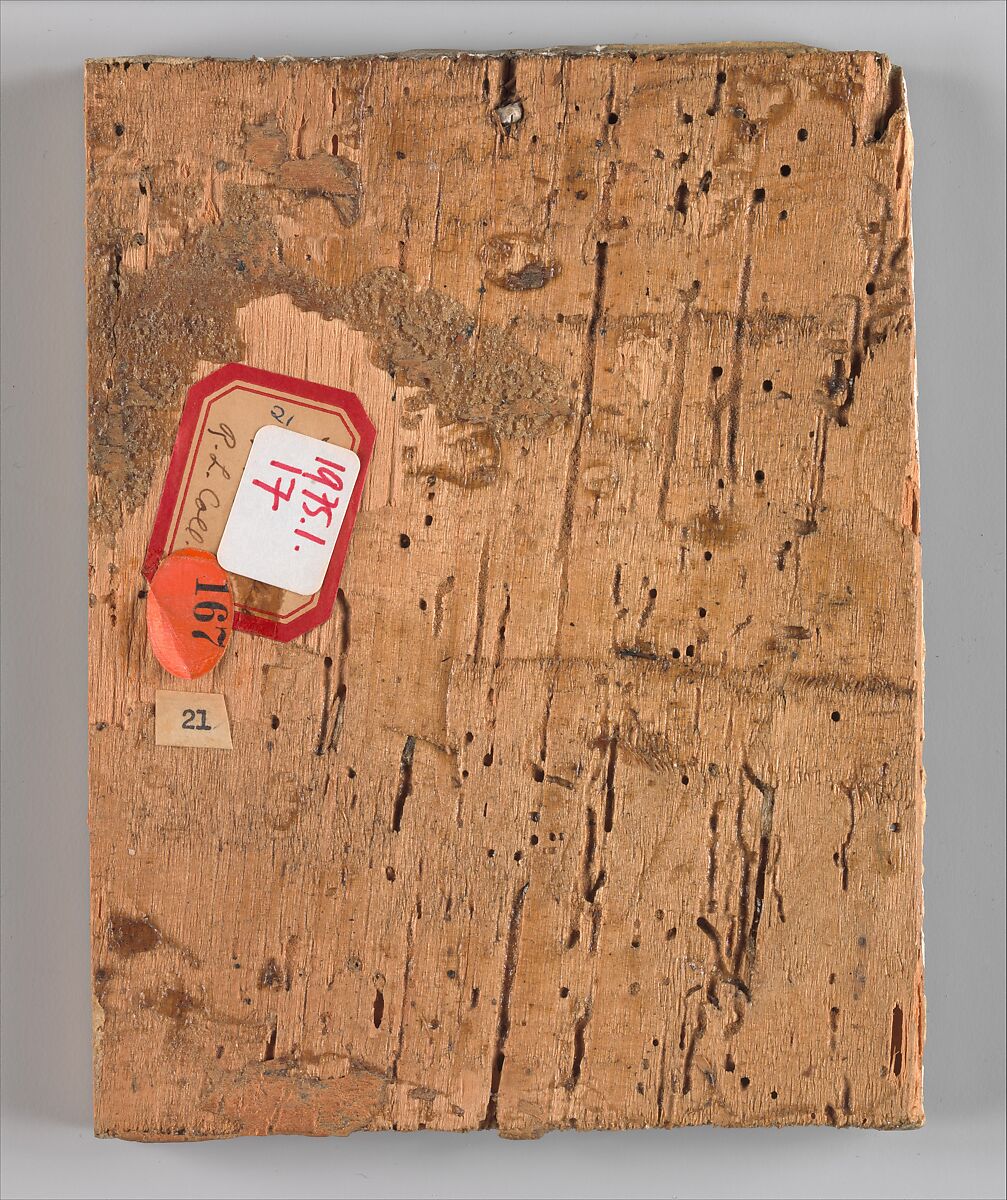 Head of an Angel in Full Face, Taddeo di Bartolo (Italian, Siena ca. 1362–1422 Siena), Tempera on wood (paint around head scraped away and vacant area gessoed)