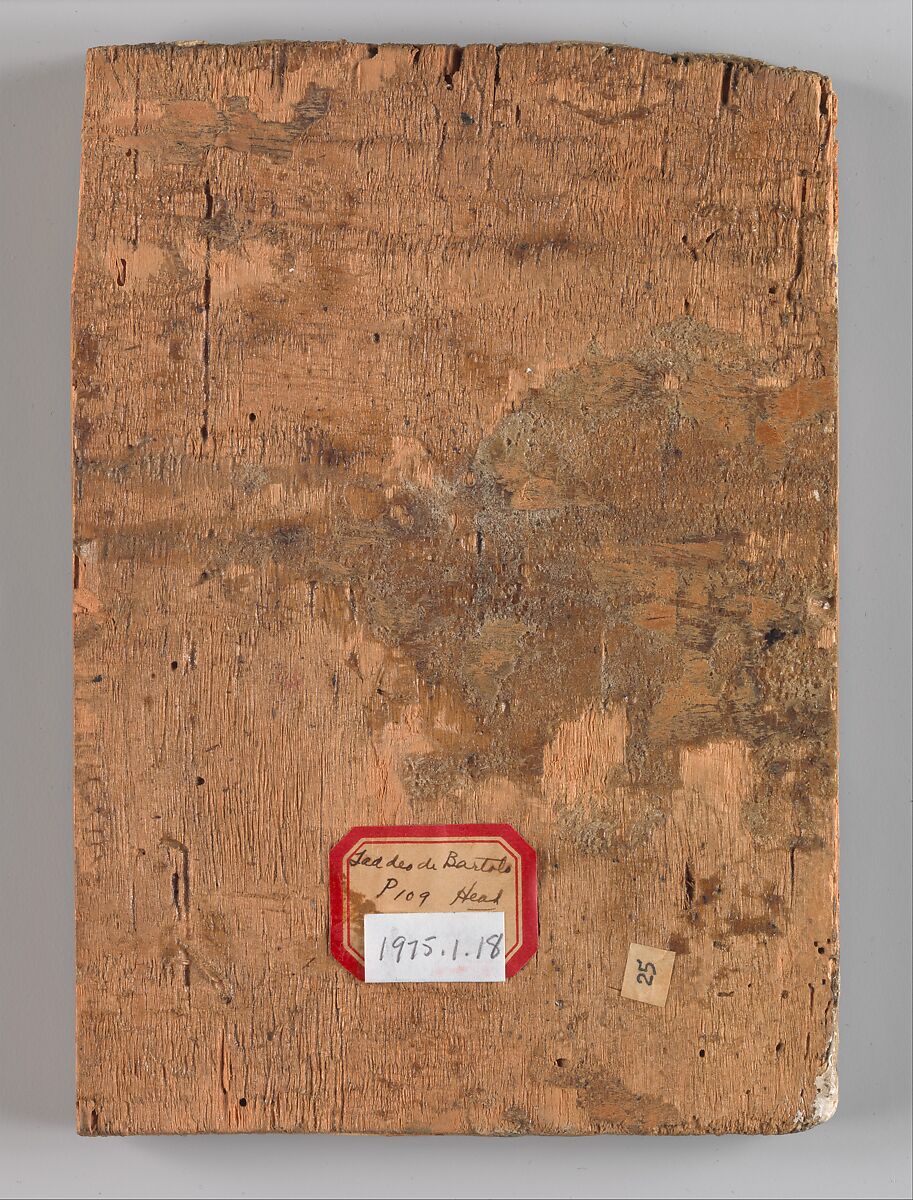 Head of the Virgin, Taddeo di Bartolo (Italian, Siena ca. 1362–1422 Siena), Tempera on wood (paint around head scraped away and vacant area gessoed)