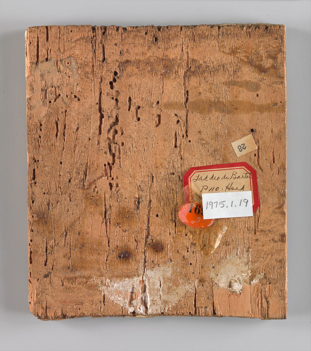 Head of an Angel in Left Profile, Taddeo di Bartolo (Italian, Siena ca. 1362–1422 Siena), Tempera on wood (paint around head scraped away and vacant area gessoed)