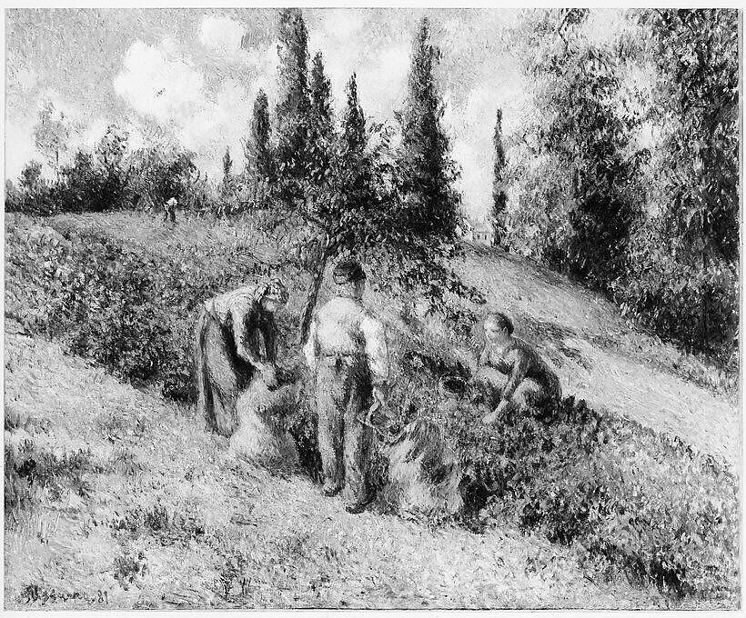 The Harvest, Pontoise (La Récolte, Pontoise), Camille Pissarro (French, Charlotte Amalie, Saint Thomas 1830–1903 Paris), Oil on canvas