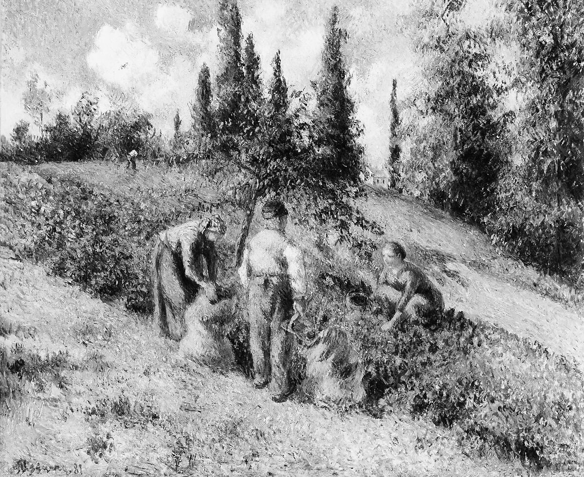 The Harvest, Pontoise (La Récolte, Pontoise), Camille Pissarro (French, Charlotte Amalie, Saint Thomas 1830–1903 Paris), Oil on canvas