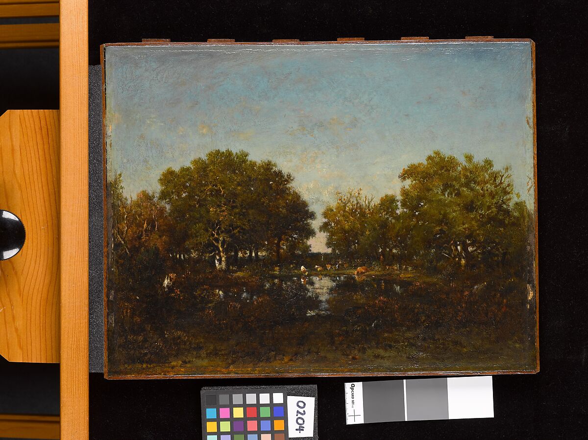 The Pool (Memory of the Forest of Chambord), Théodore Rousseau (French, Paris 1812–1867 Barbizon), Oil on wood