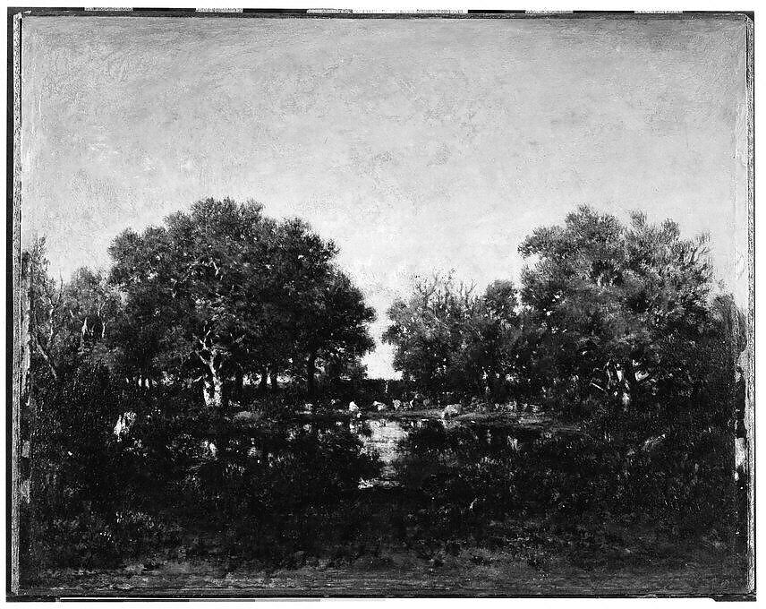 The Pool (Memory of the Forest of Chambord), Théodore Rousseau (French, Paris 1812–1867 Barbizon), Oil on wood