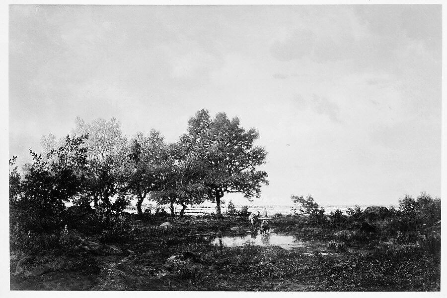 The Pond (La Mare), Théodore Rousseau (French, Paris 1812–1867 Barbizon), Oil on wood