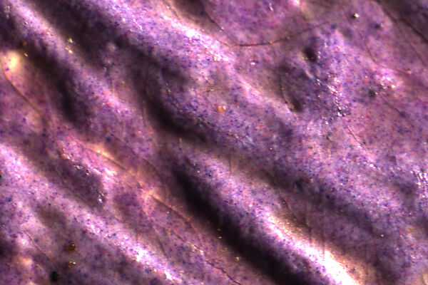 Olive Trees at Collioure, Henri Matisse (French, Le Cateau-Cambrésis 1869–1954 Nice), Oil on canvas