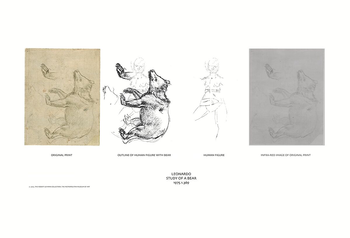 A Bear Walking, Leonardo da Vinci (Italian, Vinci 1452–1519 Amboise), silverpoint on light buff prepared paper