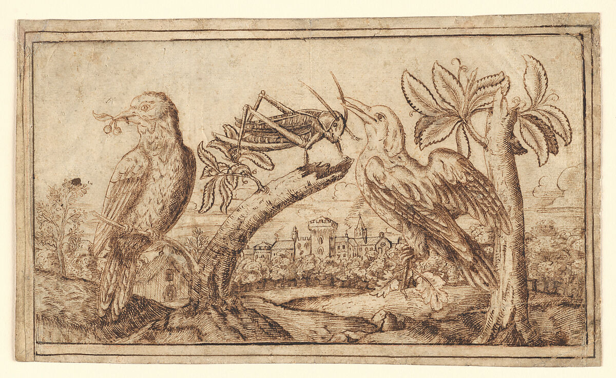 Two Birds and a Cricket, Flanders (seventeenth century), Pen and brown ink, Flemish 