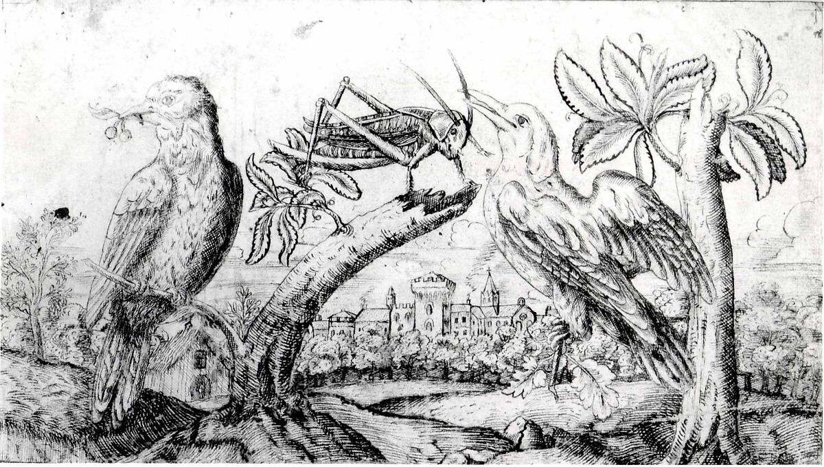 Two Birds and a Cricket, Flanders (seventeenth century), Pen and brown ink, Flemish