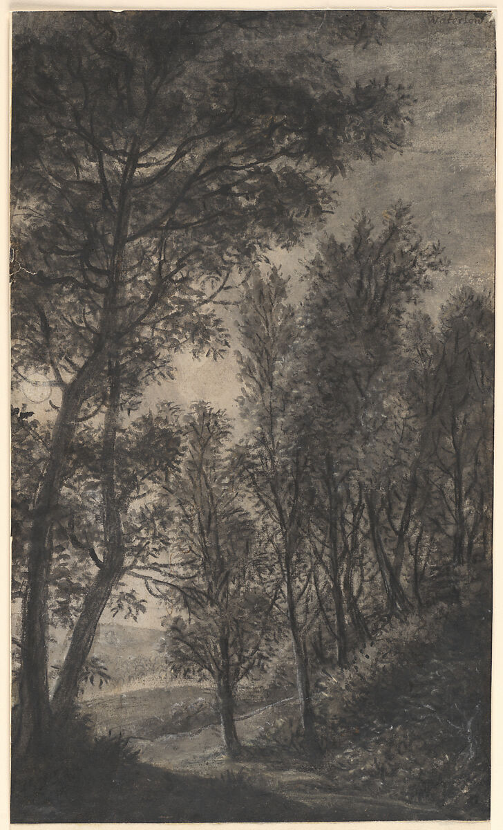 Wooded Landscape, Anthonie Waterloo (Dutch, Lille 1609–1690 Utrecht), Black chalk and brush and black ink, gray and grayish black wash, heightened with white.
Verso: (by the artist?) in pen and brown ink over black chalk.