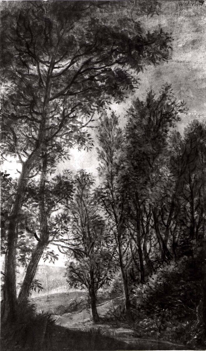 Wooded Landscape, Anthonie Waterloo (Dutch, Lille 1609–1690 Utrecht), Black chalk and brush and black ink, gray and grayish black wash, heightened with white.
Verso: (by the artist?) in pen and brown ink over black chalk.