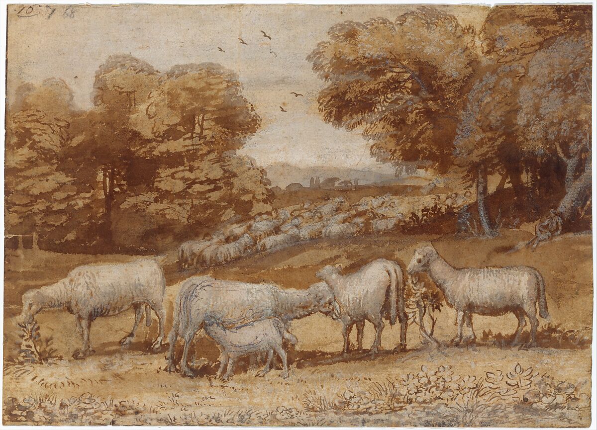Landscape with Sheep, Claude Lorrain (Claude Gellée) (French, Chamagne 1604/5?–1682 Rome), Black chalk, sepia ink and wash, heightened with white gouache. 