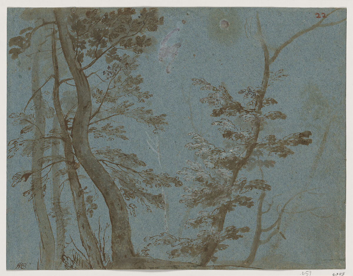 Trees, French artist in the circle of Giovanni Francesco Grimaldi (Italian, Bologna 1606–1680 Rome), Pen, sepia ink and wash with white gouache heightening on blue paper 