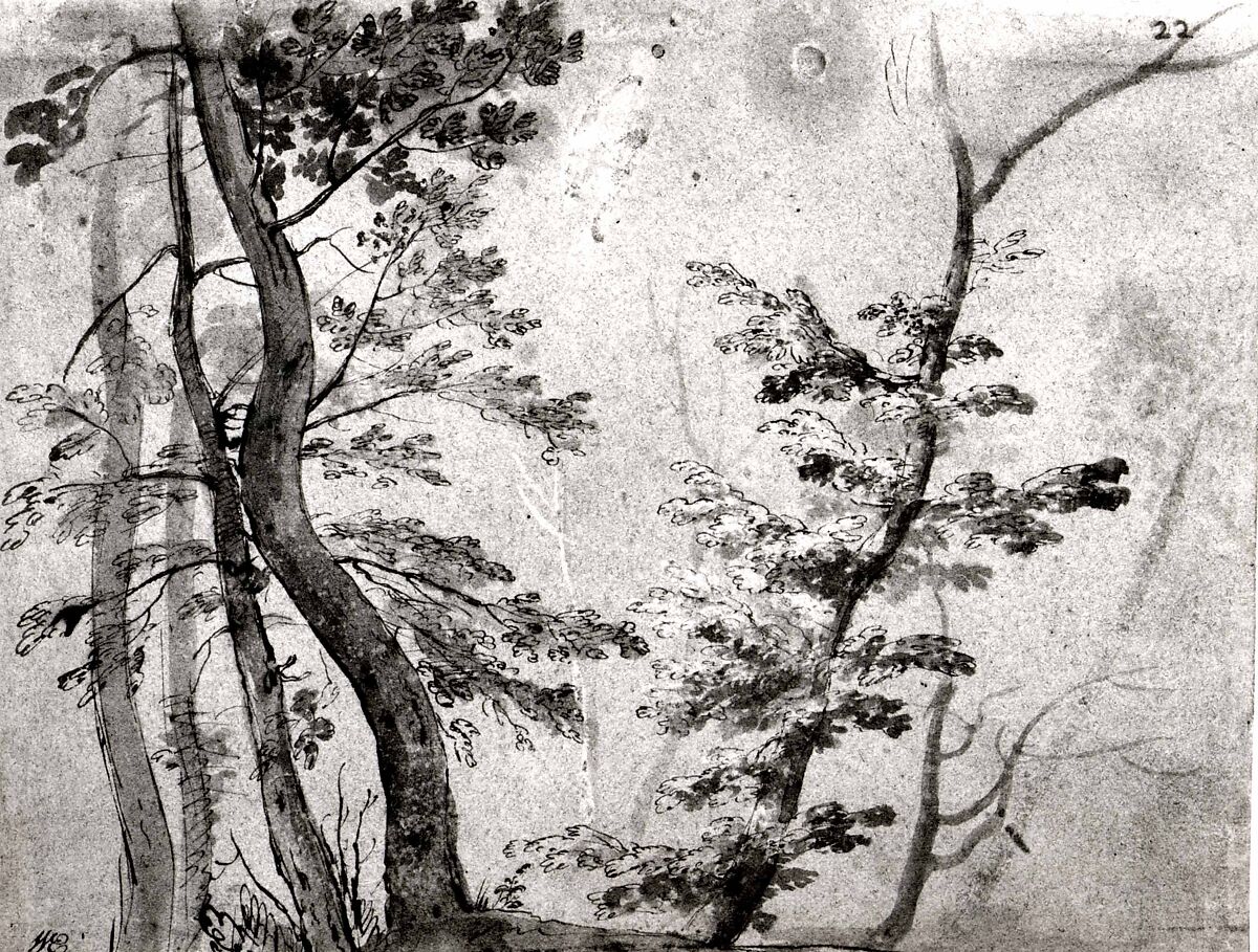 Trees, French artist in the circle of Giovanni Francesco Grimaldi (Italian, Bologna 1606–1680 Rome), Pen, sepia ink and wash with white gouache heightening on blue paper