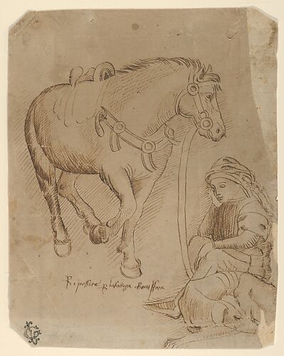 A Man Asleep Alongside a Dog and a Horse