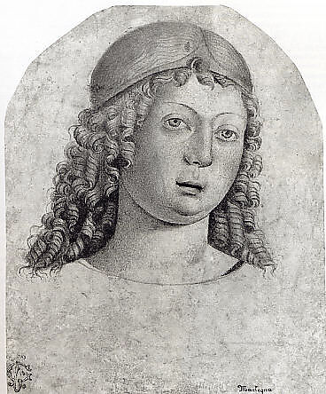 Head of a Youth with a Diadem, Cristoforo Caselli (1460–1521) (?), Pen and brown ink, brown wash, red and blue watercolor, on tinted paper., Italian