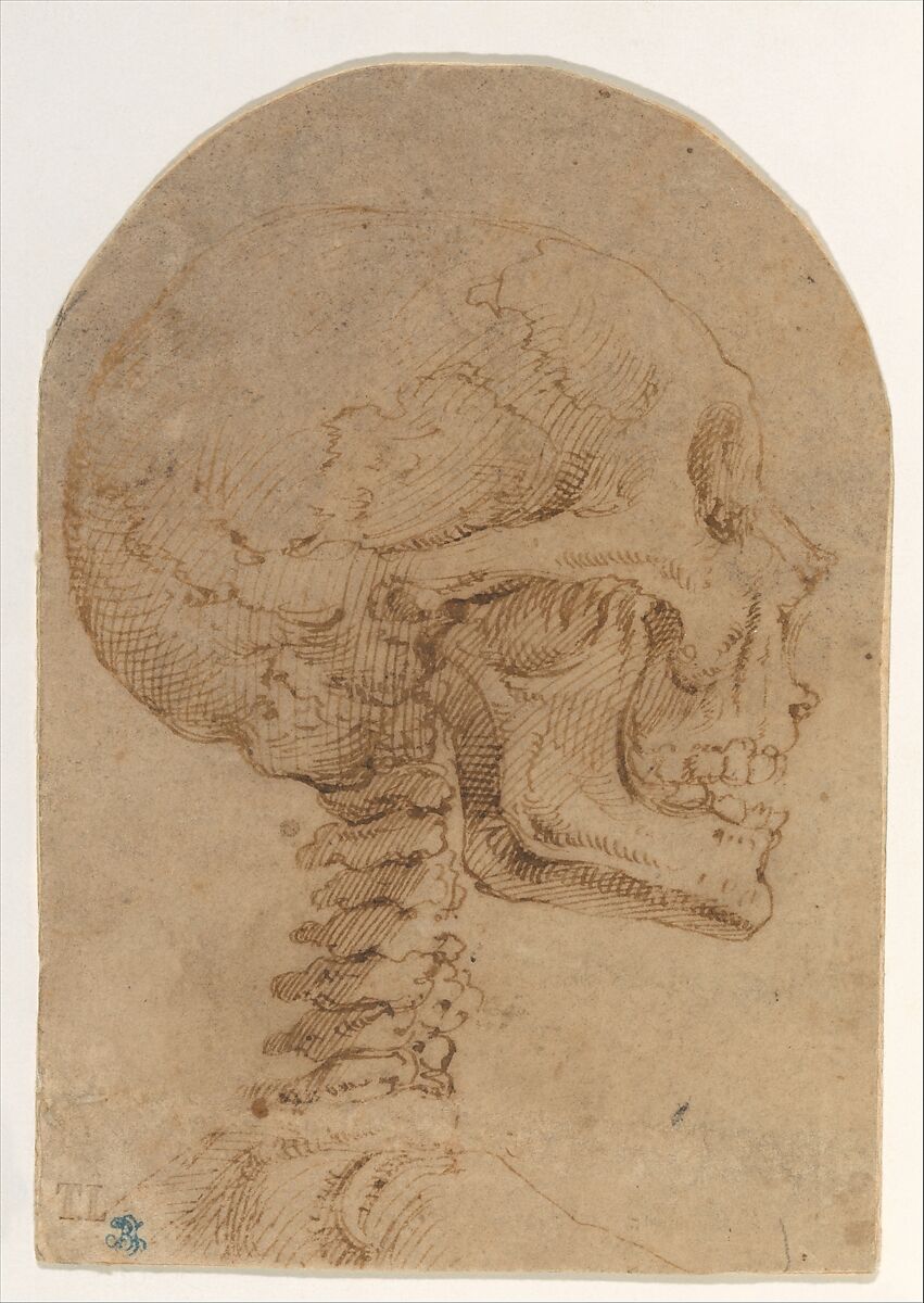 Skull in Profile, Battista Franco (?) Italian, Pen and brown ink