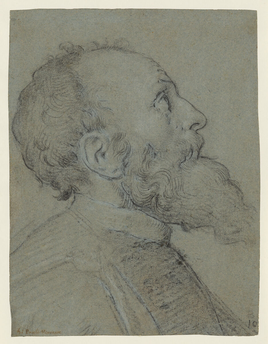 Head of a Bearded Man, School of Paolo Veronese (Venice, ca. 1548–1588), Black chalk, heightened with white, on greenish blue paper. 