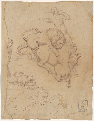 Hunting Scene and Lions Attacking Animals