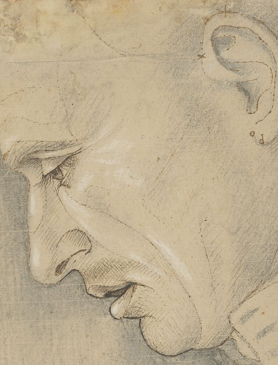 Head of a Man in Profile, Luca Signorelli (Luca d'Egidio di Luca di Ventura) (Italian, Cortona, active by 1470–died 1523 Cortona), Black chalk, pen and brown ink, heightened with white.