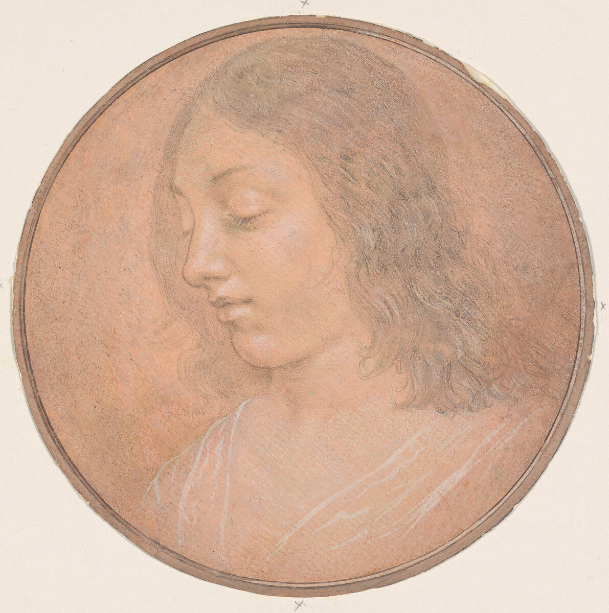 Head of a Young Woman, Attributed to Lorenzo di Credi (Lorenzo d&#39;Andrea d&#39;Oderigo) (Italian, Florence 1456/59–1536 Florence), Metalpoint, heightened with white, on pink prepared paper; profile retouched in brownish chalk, hair retouched in black chalk, and highlights added to bust, all by a later hand. 