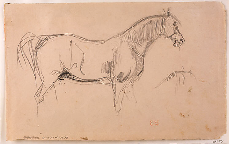 Studies of a Horse in Profile, Eugène Delacroix (French, Charenton-Saint-Maurice 1798–1863 Paris), Graphite on gray-beige wove paper (probably a sheet from a sketchbook)