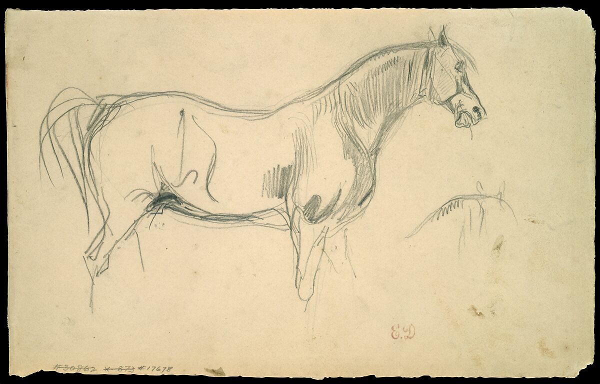 Studies of a Horse in Profile, Eugène Delacroix (French, Charenton-Saint-Maurice 1798–1863 Paris), Graphite on gray-beige wove paper (probably a sheet from a sketchbook) 