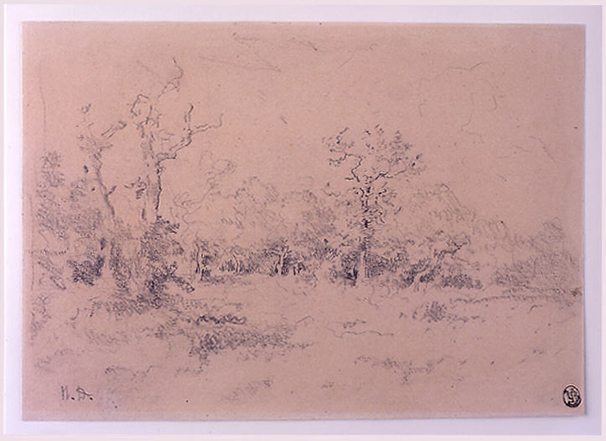 Forest Clearing, Narcisse-Virgile Diaz de la Peña (French, Bordeaux 1808–1876 Menton), Graphite and crayon on buff wove paper 