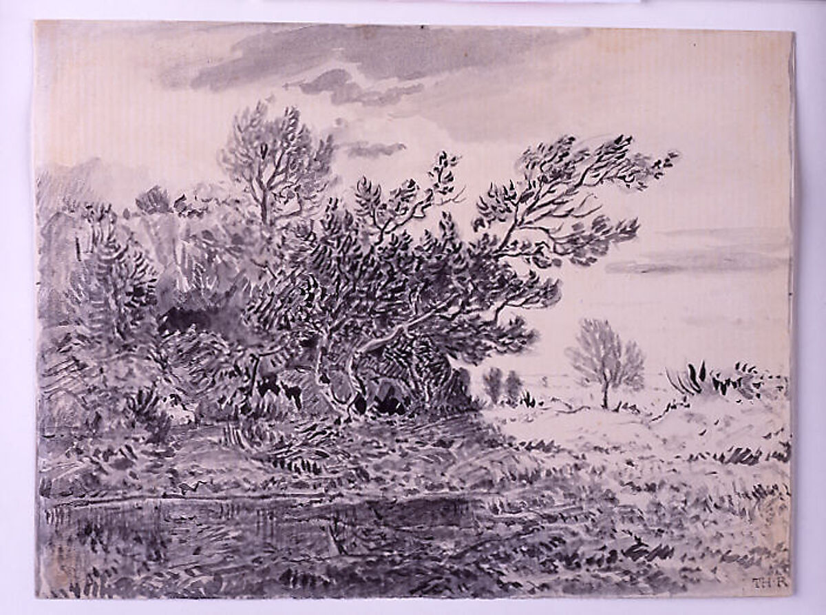 Landscape with a Pond, Théodore Rousseau (French, Paris 1812–1867 Barbizon), Black ink and gray wash on cream laid paper