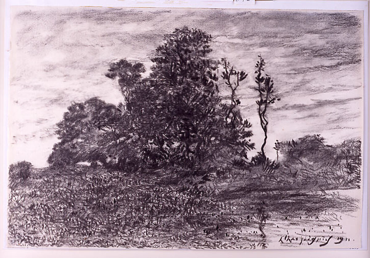 The Pond at Les Luneaux, Allier, Henri-Joseph Harpignies (French, Valenciennes 1819–1916 Saint-Privé), Charcoal on off-white wove paper