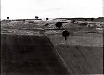 Landscape with Hills, Fields, and Trees, Attributed to Cristóbal Ruiz, Oil on wood, Spanish