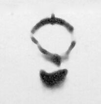 Key, Copper alloy, iron, Roman