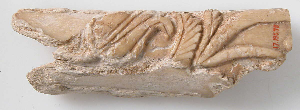 Relief Fragment with Floral Design, Bone, Coptic 
