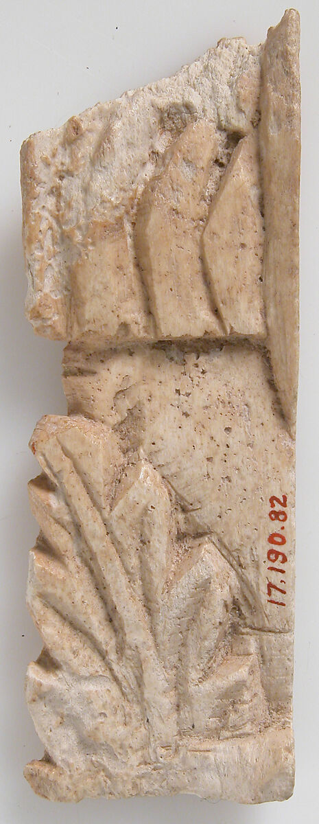 Relief Fragment with Acanthas Leaf Design, Ivory, Coptic 