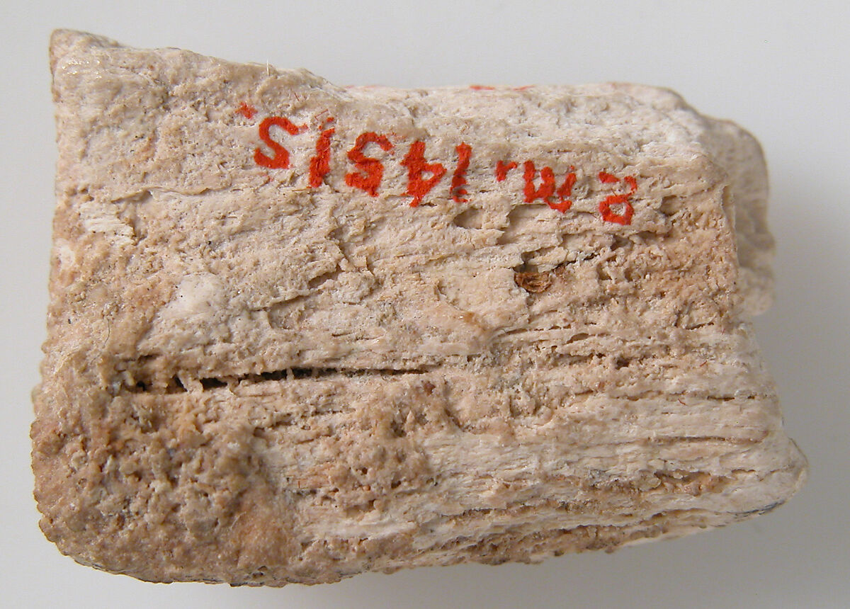 Relief Fragment with Part of a Rosette, Elephant ivory, Coptic