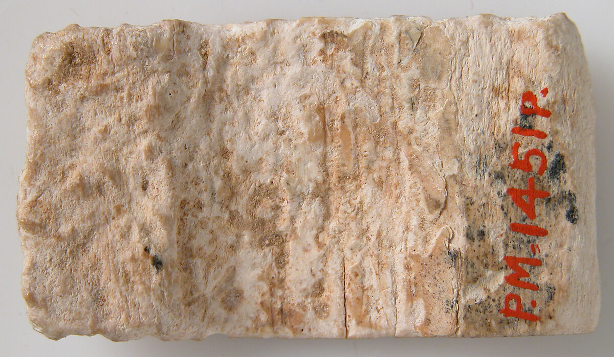 Relief Fragment with Lotus Design, Elephant ivory, Coptic