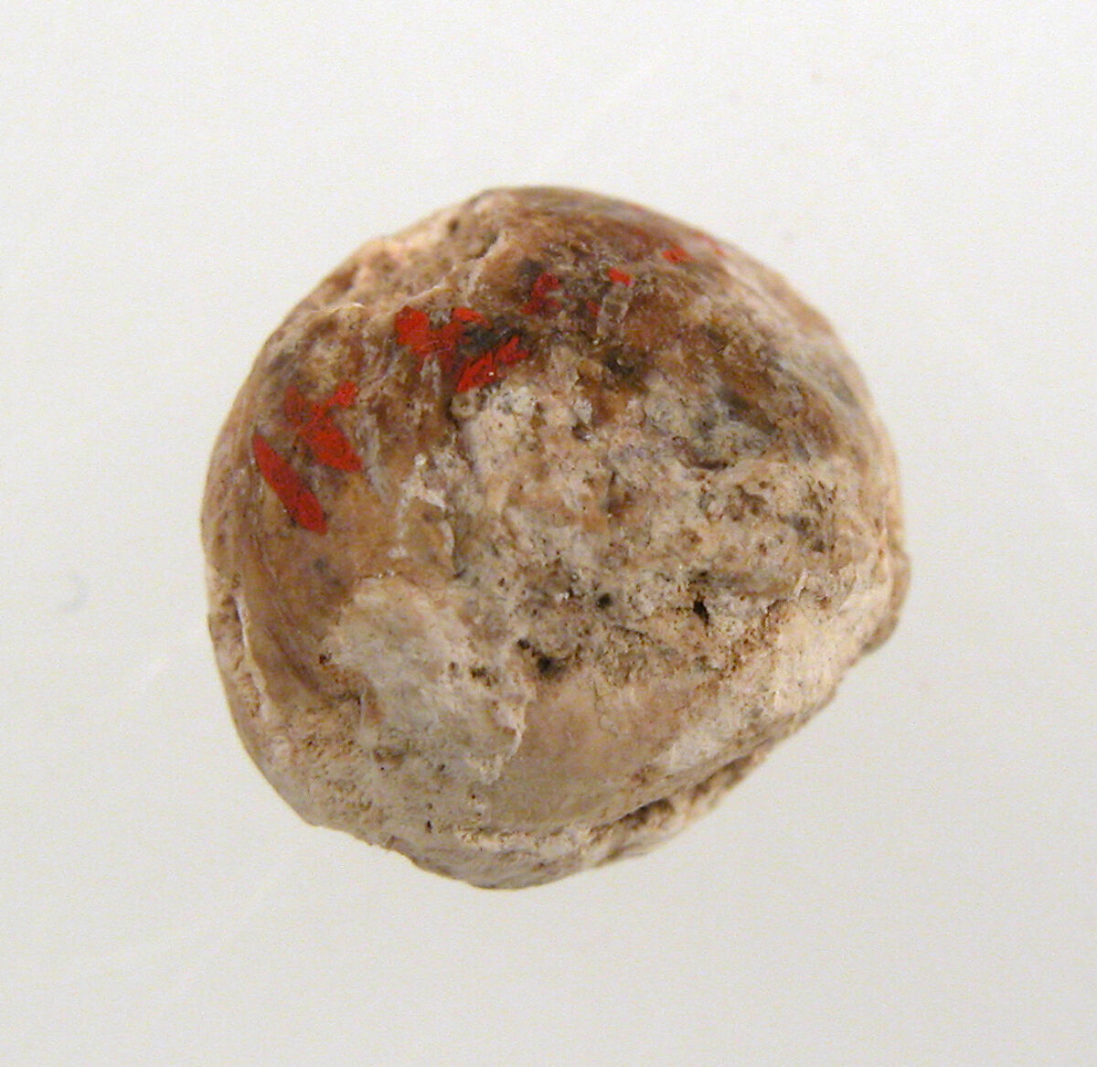 Cherry Stone from a Tomb, Cherry stone, Frankish 